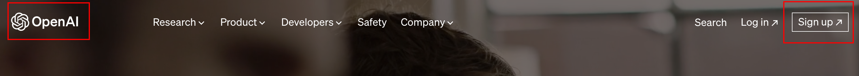 OpenAI Sign up